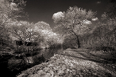 Along the Canal